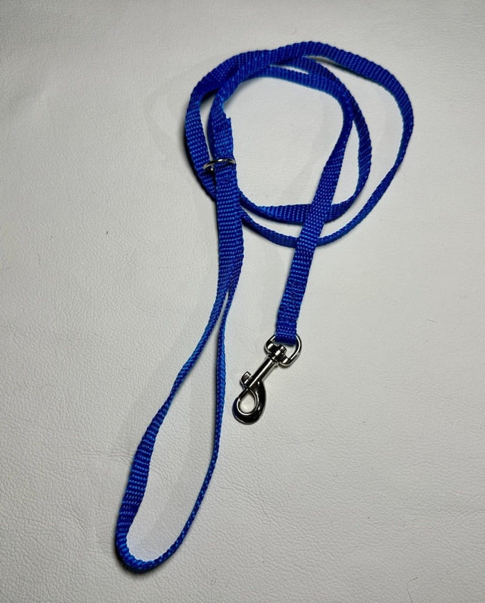 Dogtraining101 Puppy/Small Dog Plain Blue 1.2m x 10mm wide Lead