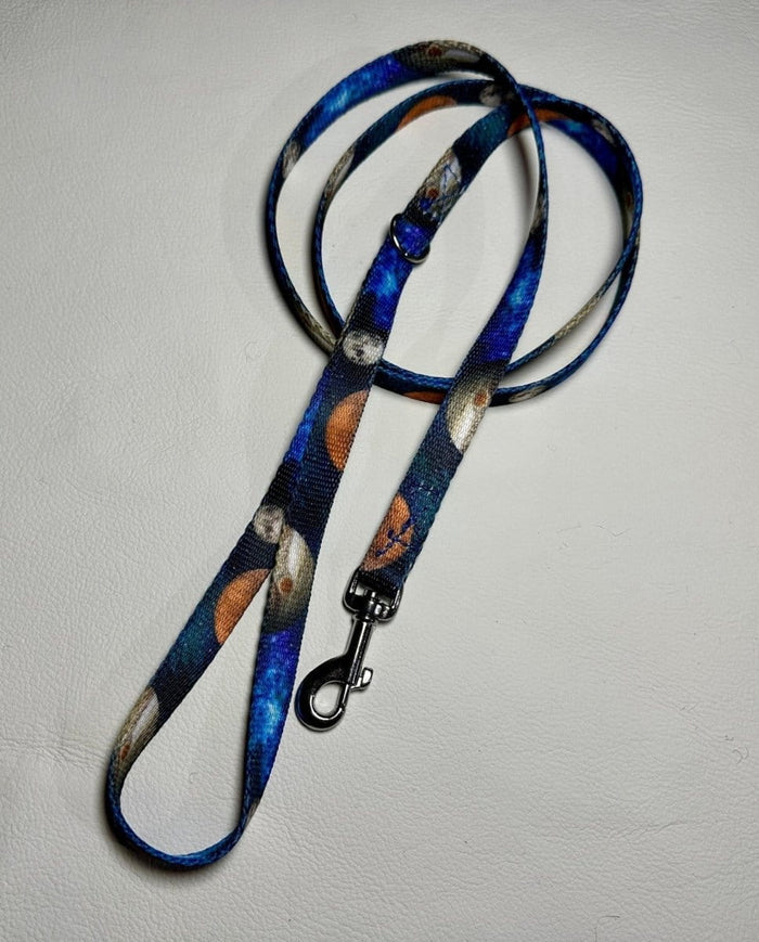 Dogtraining101 Puppy/Small Dog Solar System 1.2m x 16mm Lead