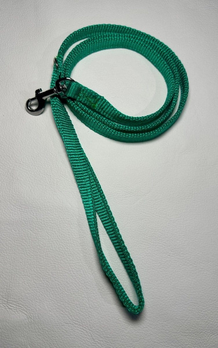 Dogtraining101 Puppy/Small Dog Thick Emerald Green 1.2m x 13mm Lead