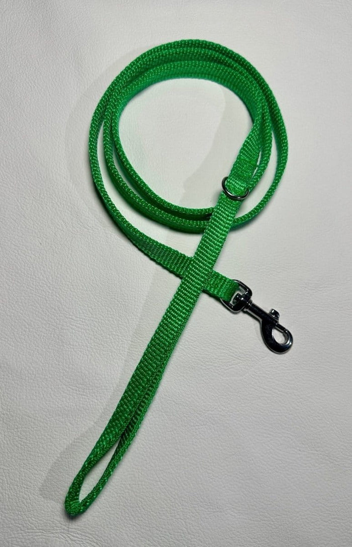 Dogtraining101 Puppy/Small Dog Thick Light Green 1.2m x 13mm Lead