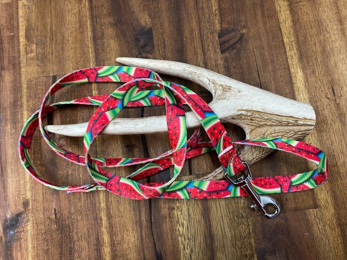 Dogtraining101 Puppy/Small Dog Watermelon 1.2m x 16mm Lead