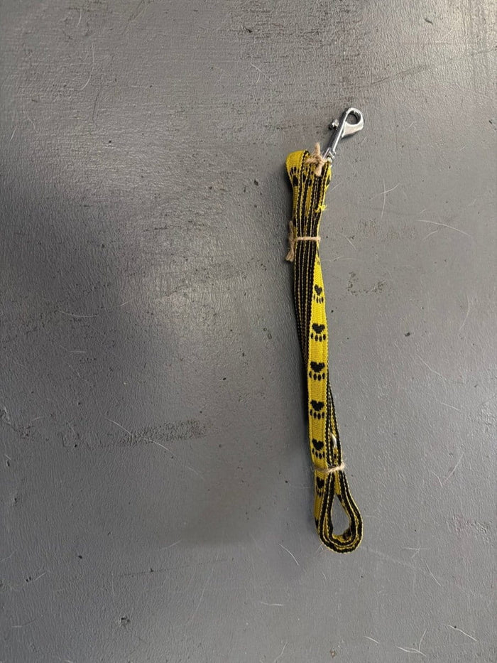 Dogtraining101 Puppy/Small Dog Yellow Paw/Black 1.2m x 15mm Lead