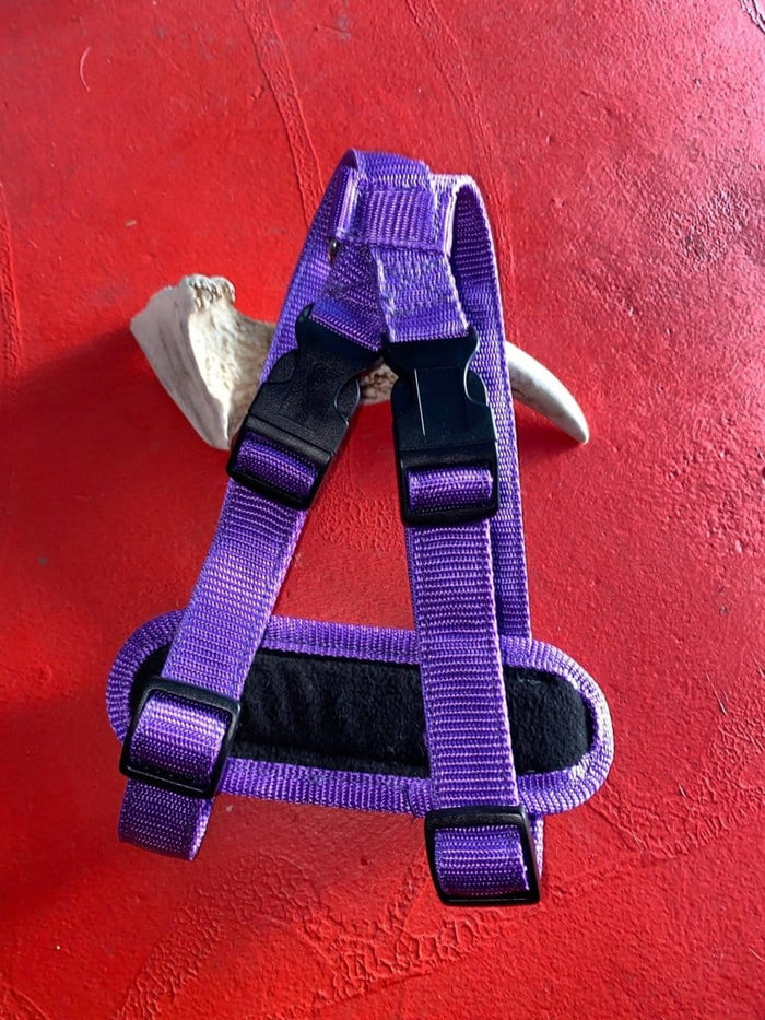 Dogtraining101 Retail Super Store Purple Plain-Black Clip-Purple Trim Harness (Medium)