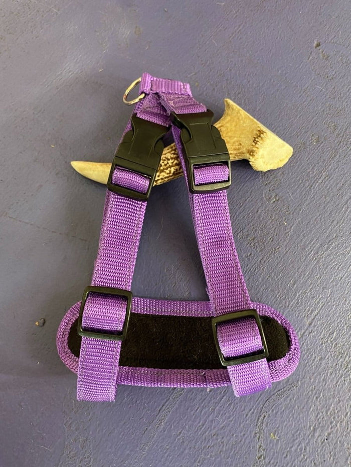 Dogtraining101 Retail Super Store Purple Plain-Black Clip-Purple Trim Harness Small)