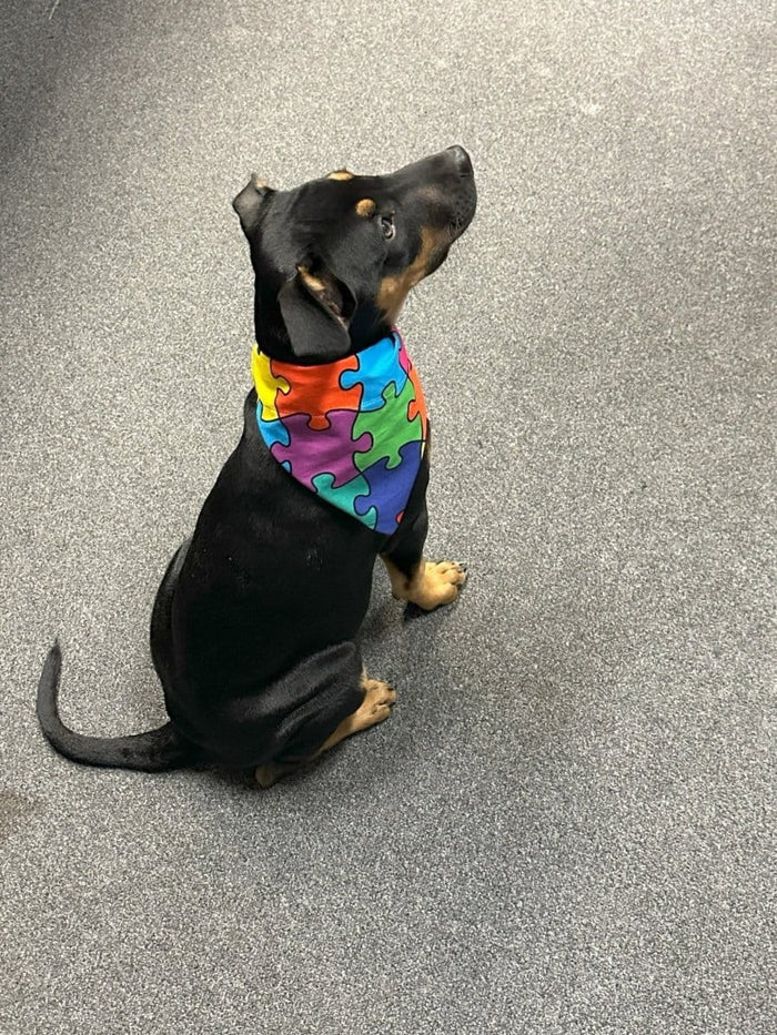 Dogtraining101 Puzzle Piece Bandana