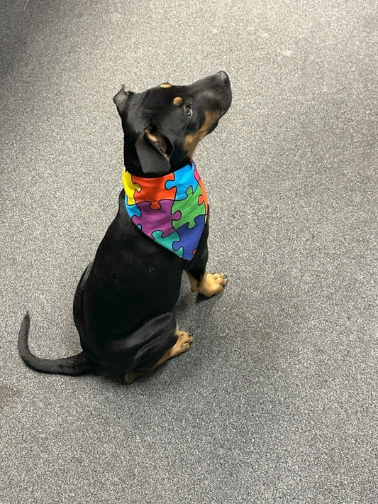 Dogtraining101 Puzzle Piece Bandana