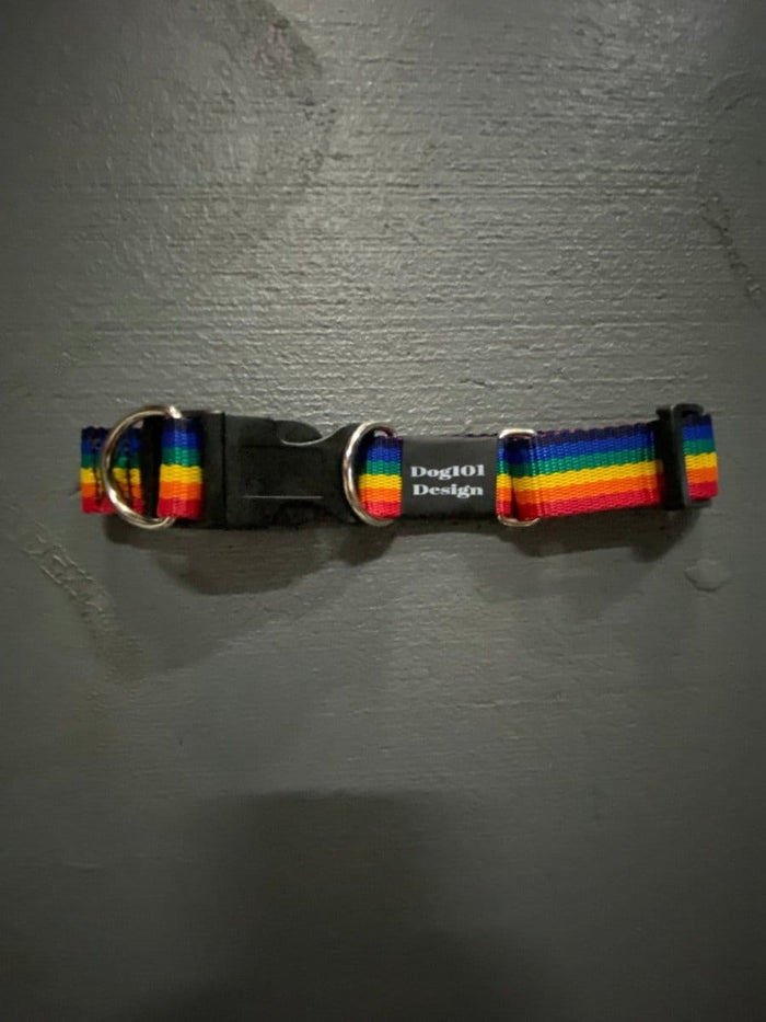 Dogtraining101 Rainbow - Black Clip Double Up Collar