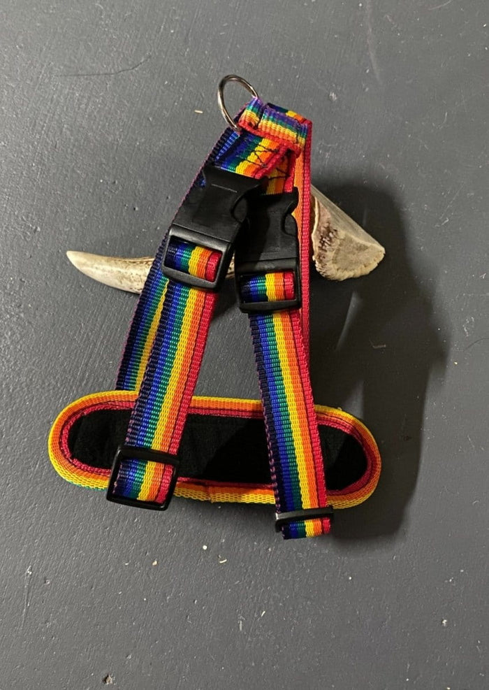 Dogtraining101 Retail Super Store Rainbow-Black Clip-Rainbow Trim Harness (Medium)