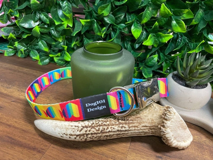 Dogtraining101 Rainbow Heart Metal Clip Collar