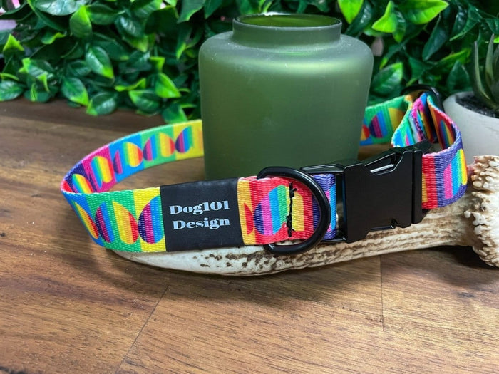 Dogtraining101 Large / Silver Rainbow Heart Metal Clip Collar