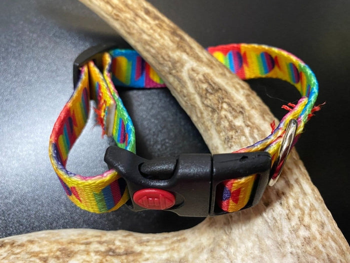 Dogtraining101 Retail Super Store Rainbow Heart Webbing Collar (Small/Puppy)