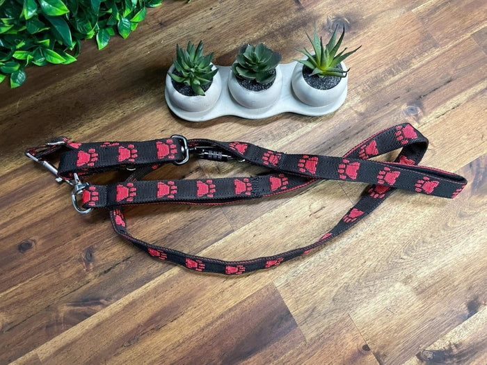 Dogtraining101 Reactive Fancy Red Paw on Black Lead