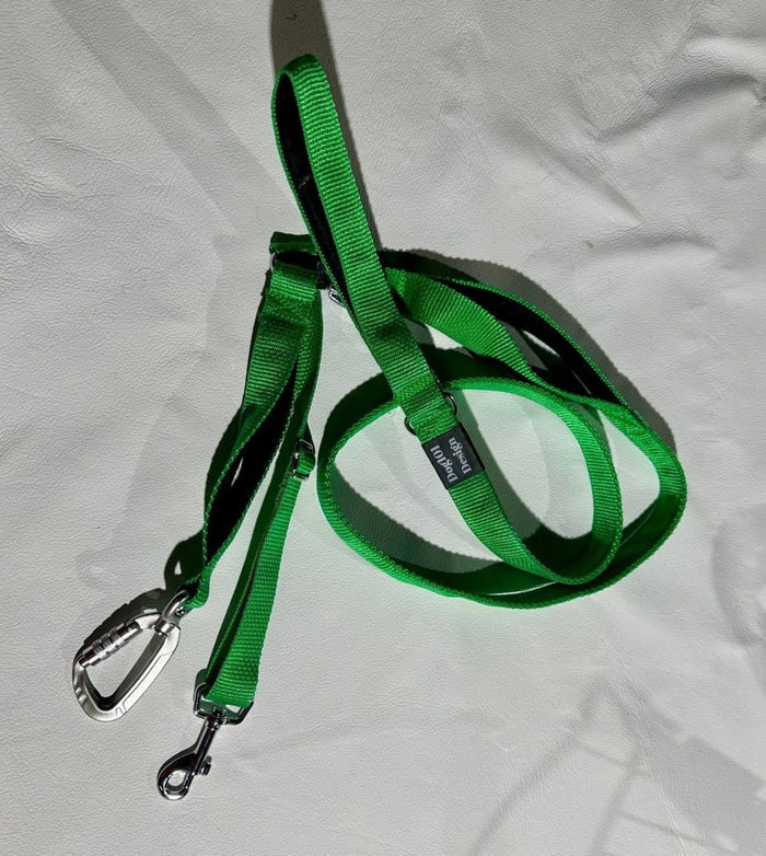 Dogtraining101 Reactive Light Green Lead