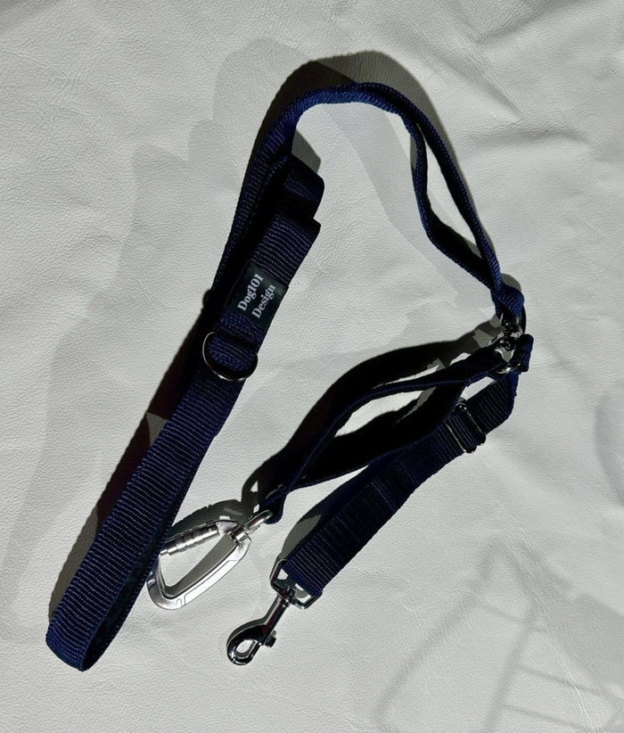 Dogtraining101 Reactive Plain Black Lead