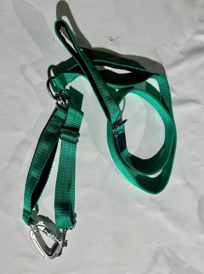 Dogtraining101 Reactive Plain Emerald Green Lead