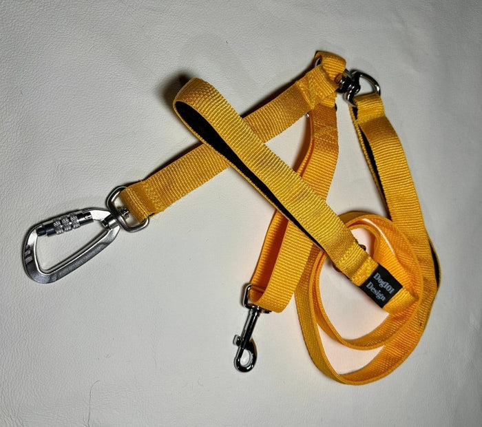 Dogtraining101 Reactive Plain Light Orange Lead