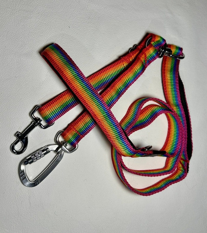 Dogtraining101 Reactive Plain Rainbow Lead