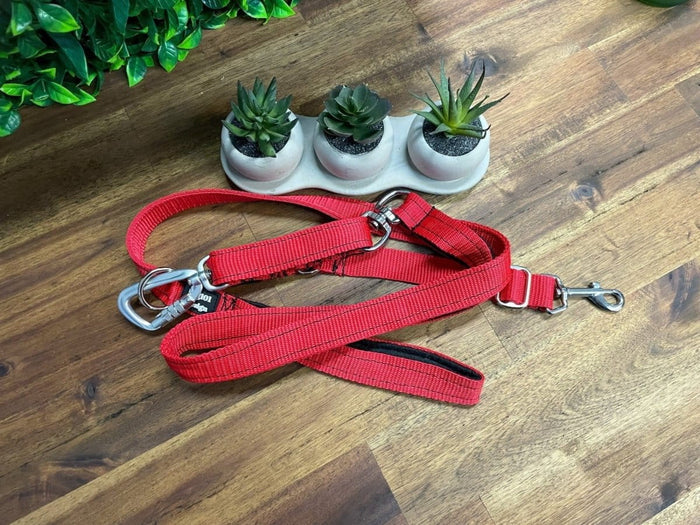 Dogtraining101 Reactive Plain Red Lead