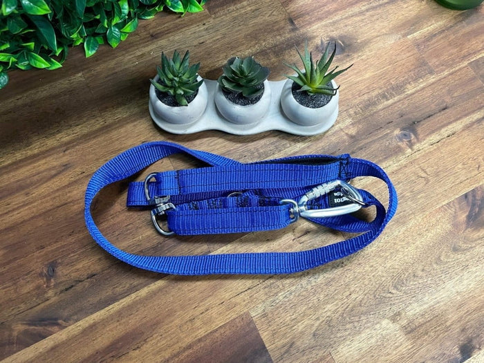 Dogtraining101 Reactive Plain Royal Blue Lead