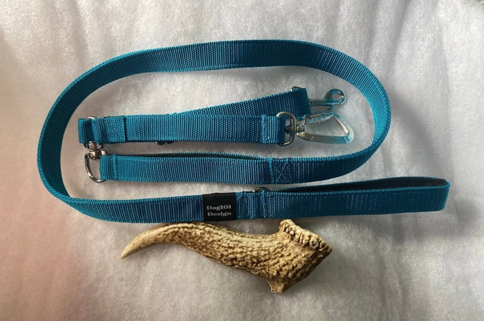 Dogtraining101 Reactive Thick Teal Lead