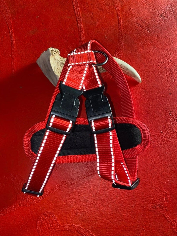 Dogtraining101 Retail Super Store Red Trim-Black Clip-Red Reflective Premium Harness (Medium)