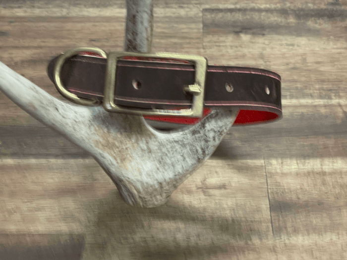 Dogtraining101 Large Red Two Tone - Soft Leather
