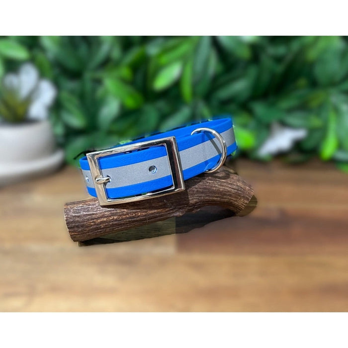 Dogtraining101 Medium / Silver Reflective Blue Biothane Collar