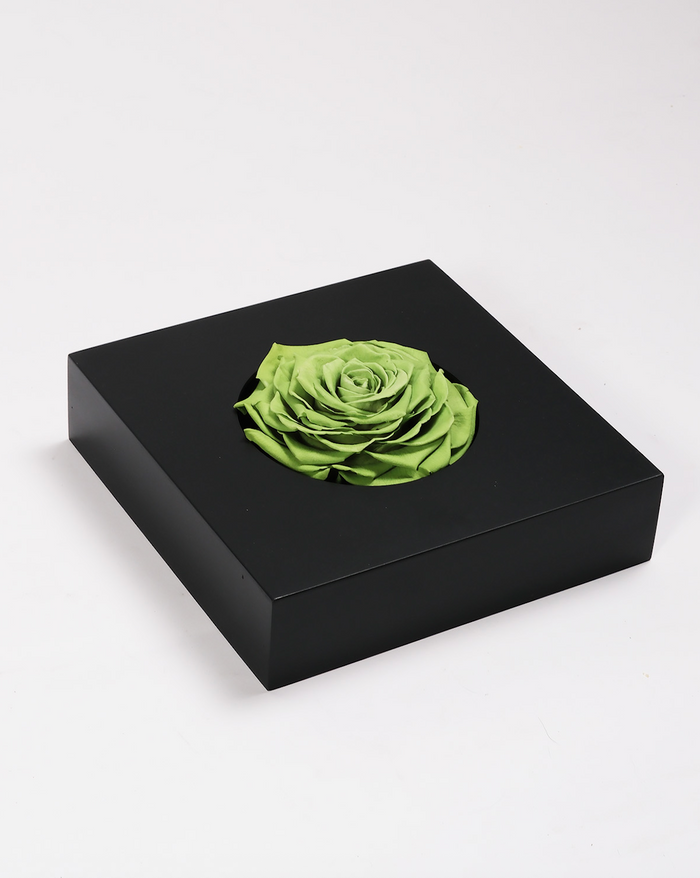 Rose Frame