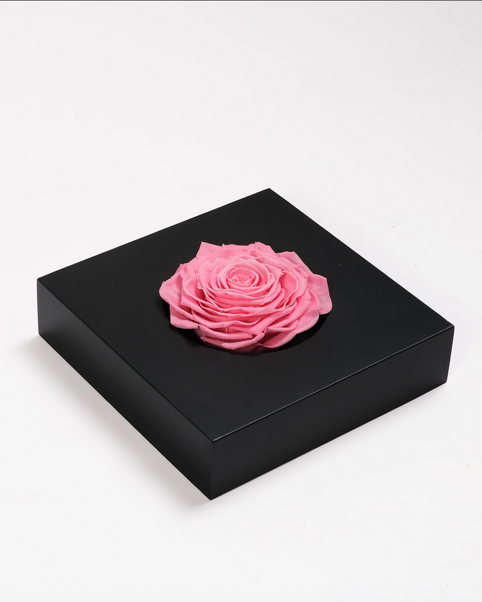 Rose Frame