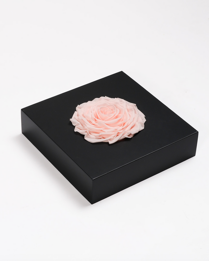 Rose Frame