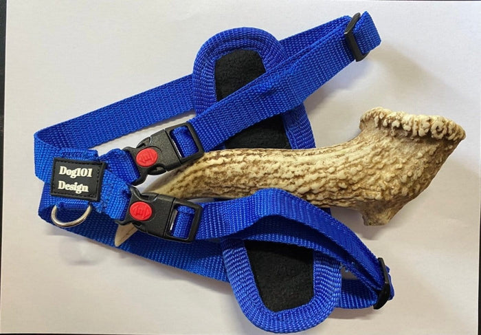 Dogtraining101 Royal Blue Harness (Small)