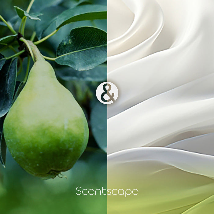 SCENTSCAPE - Pear & White Musk 30 sticks