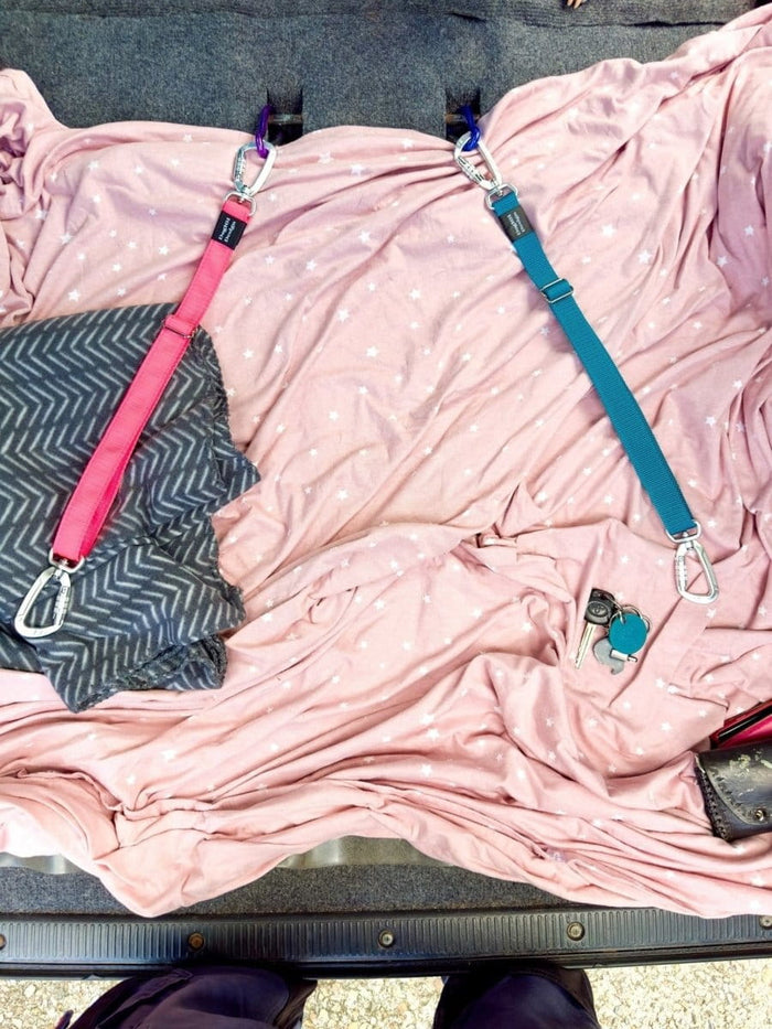 Dogtraining101 Self Locking Duel connector Seat Belt Restraint - Teal