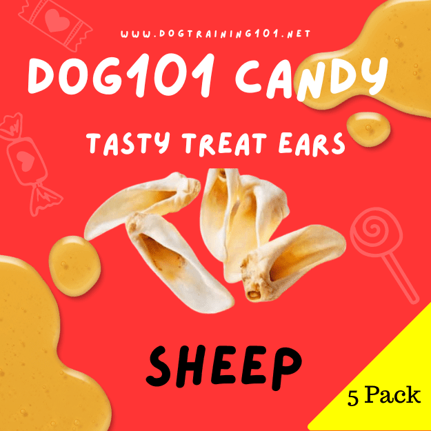 Dogtraining101 Sheep Ears