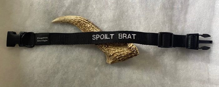 Dogtraining101 Medium / Snow White Small Font Spoilt Brat - Black Clip Plain Collar