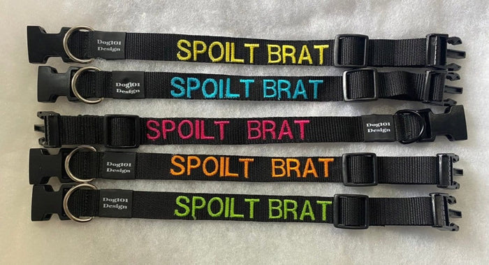 Dogtraining101 Spoilt Brat - Black Clip Plain Collar