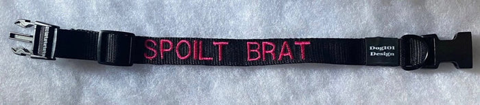 Dogtraining101 Spoilt Brat - Black Clip Plain Collar