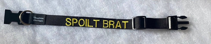 Dogtraining101 Spoilt Brat - Black Clip Plain Collar