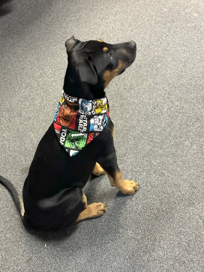 Dogtraining101 Star Wars Bandana
