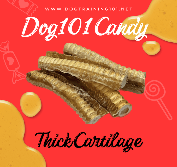 Dogtraining101 Thick Cartilage