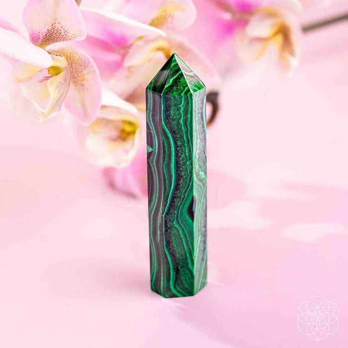 This Changes Everything – Malachite Phoenix Point