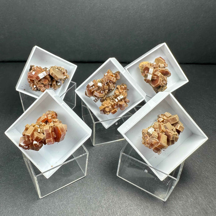 Thumbnail Specimens in Acrylic Box from Morocco - Smokin Resin Company