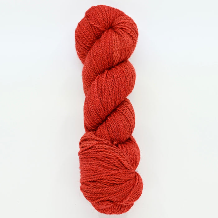 Tomato Paste - Starlight Sport "Undertone"