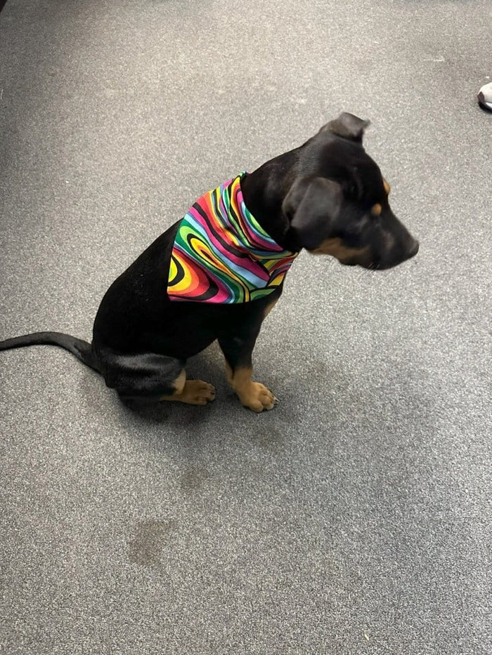 Dogtraining101 Trippy Bandanna