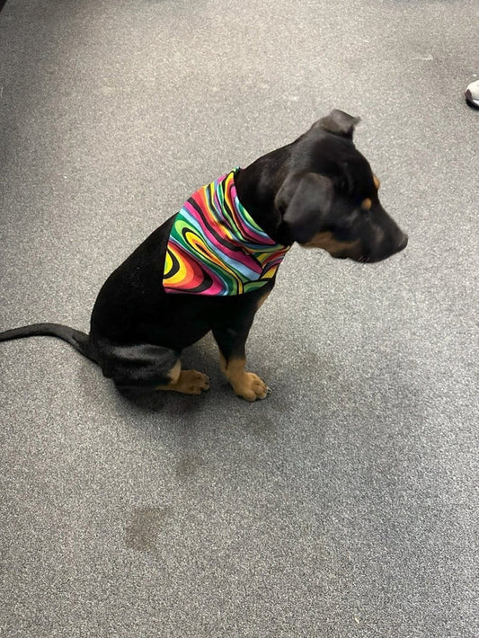 Dogtraining101 Trippy Bandanna