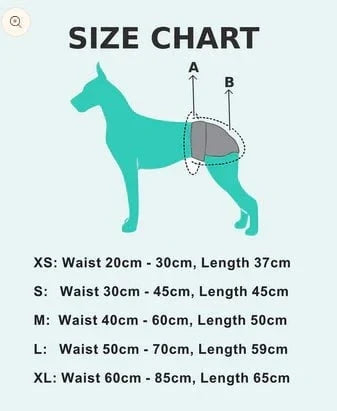 Loving Pets Washable Dog Nappies - Blue