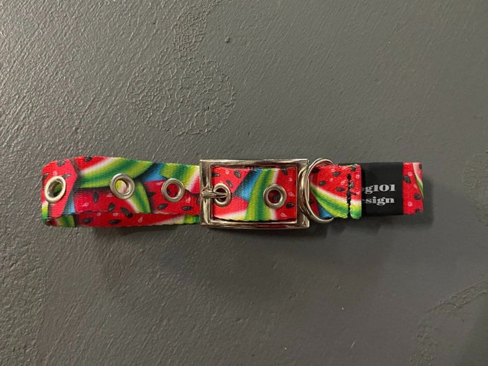 Dogtraining101 Watermelon Buckle Collar