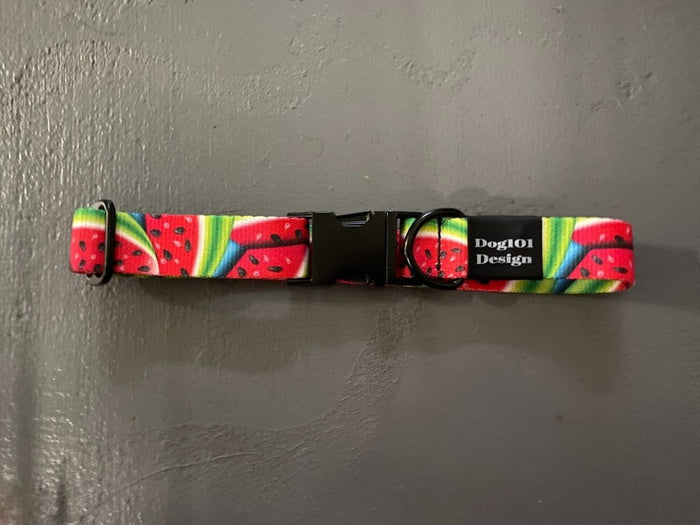 Dogtraining101 Watermelon Metal Clip Collar