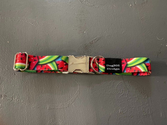 Dogtraining101 Watermelon Metal Clip Collar