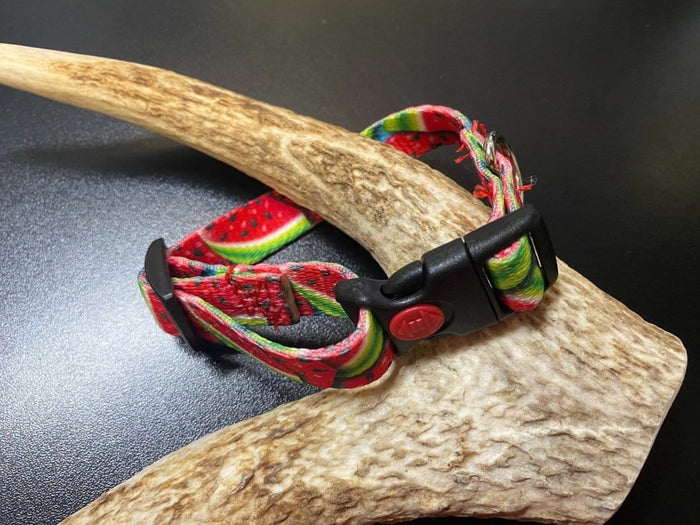 Dogtraining101 Retail Super Store Watermelon Webbing Collar (Small/Puppy)